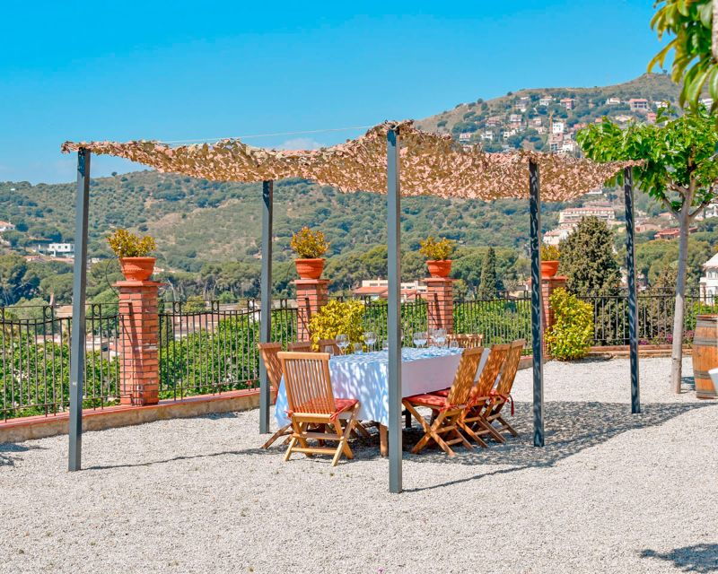 From Barcelona: Alella Wine Tour by Electric Bike - Good To Know