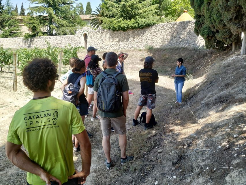 From Barcelona: El Penedès Hike and Wine Tour
