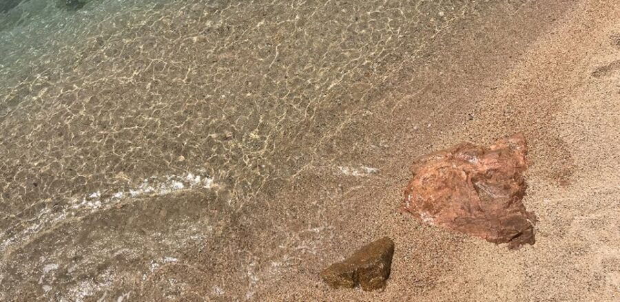 From Barcelona: Girona & Costa Brava Game of Thrones Tour - Good To Know