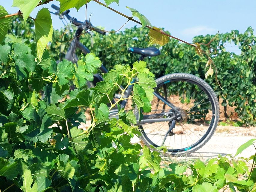 From Barcelona: Penedès E-Bike Tour With 2 Winery Visits - Good To Know