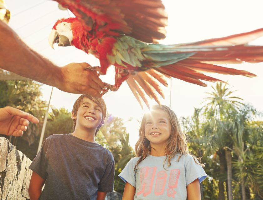 From Barcelona: PortAventura Theme Park Ticket & Transfer - Good To Know