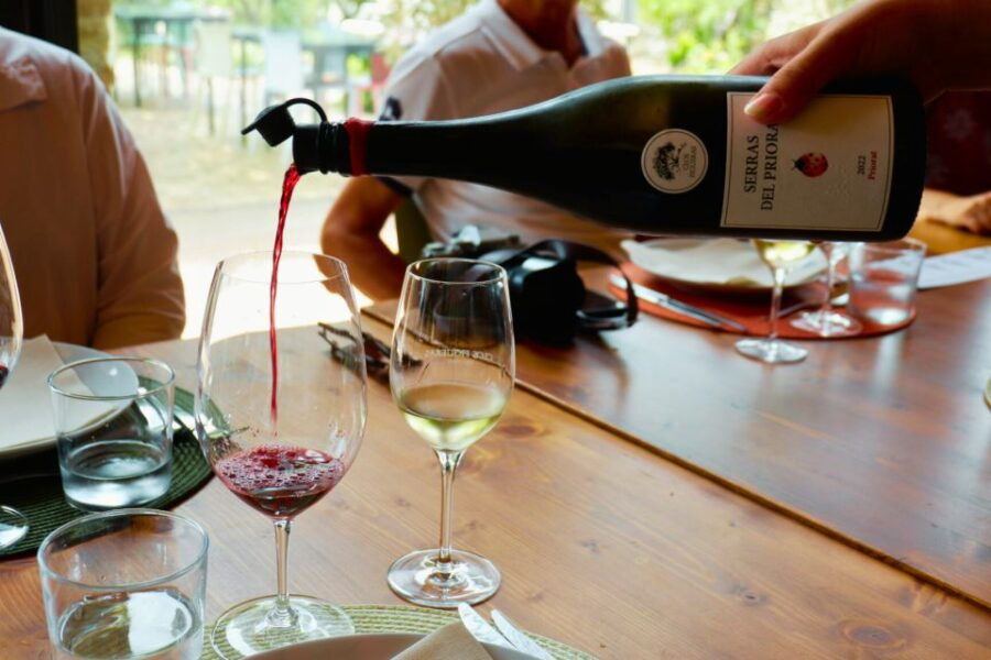 From Barcelona: Priorat's Exclusive Cellars, Wines & Nature - Good To Know