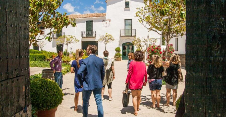 From Barcelona: Private Wine, Tapas and Cava Tour - Good To Know