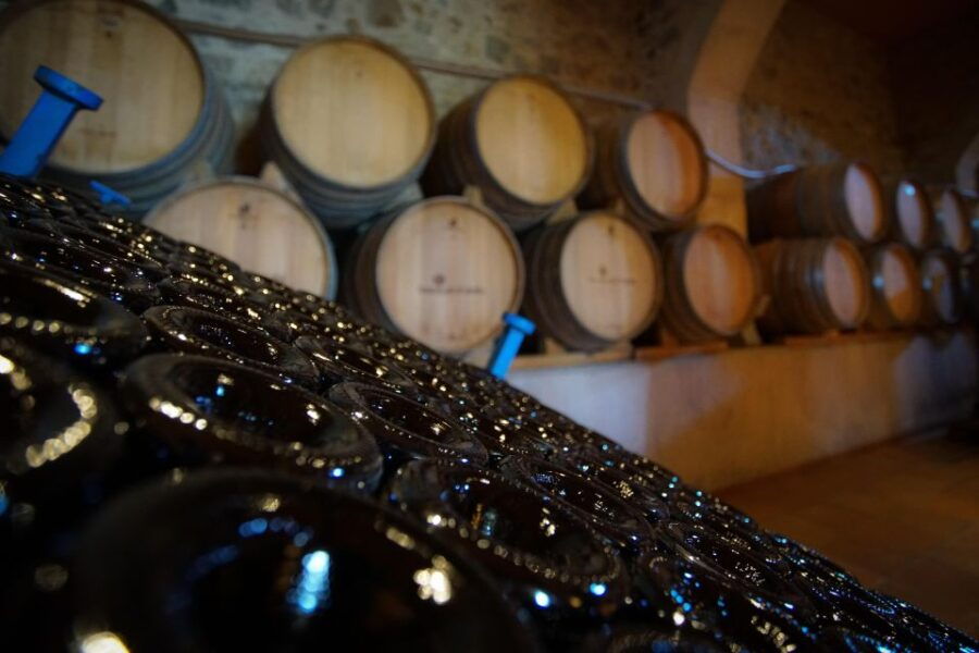 From Barcelona: Sailing and Wine Tasting Experience - Good To Know