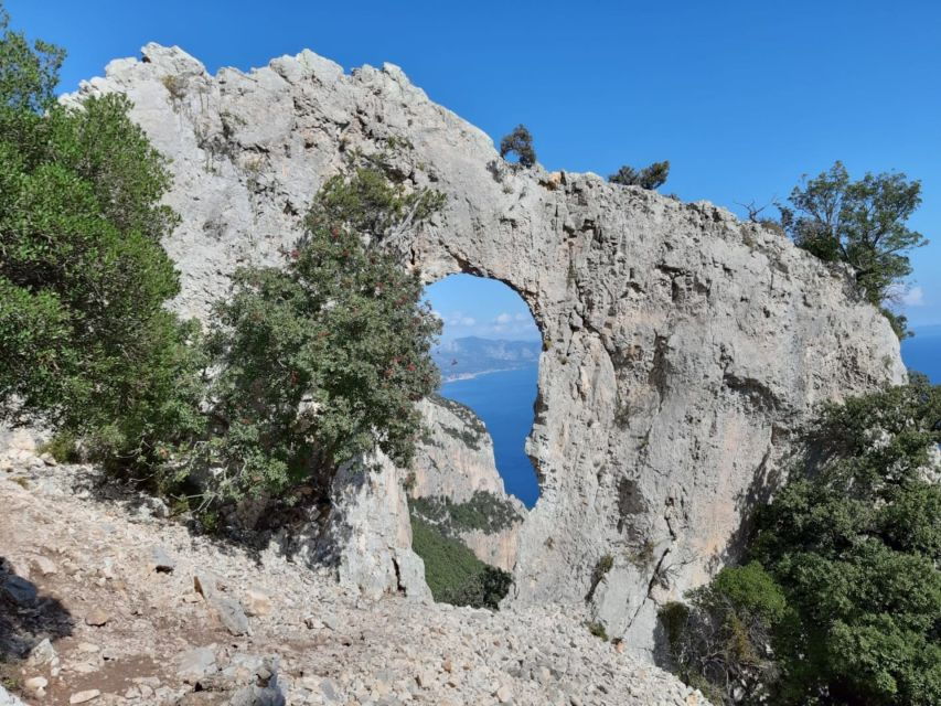 From Baunei: Cala Mariolu Hiking Tour