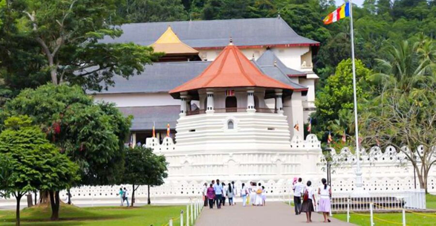 From Bentota or Beruwela: Private Day Tour to Kandy