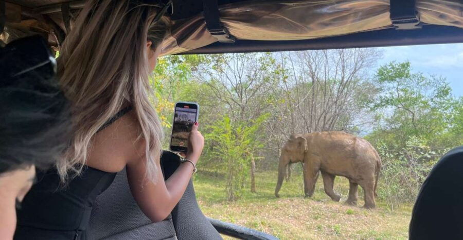 From Bentota: Udawalawa National Park Wildlife Safari - Good To Know