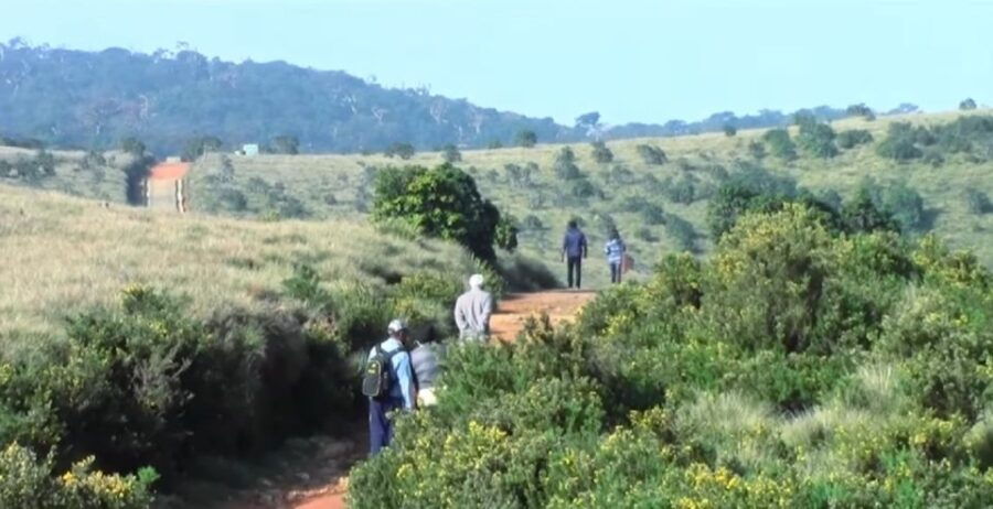 From Bentota: Wonders of Hill Country Exploration Tour