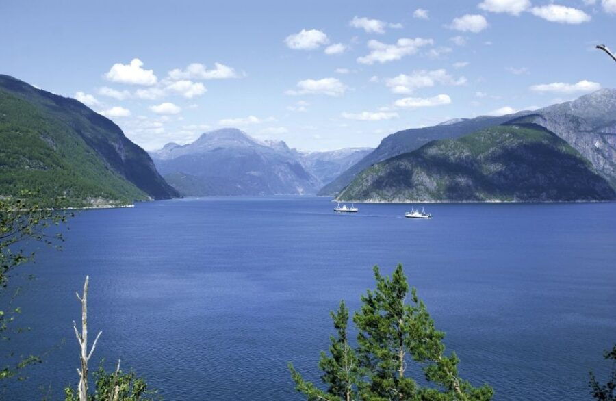 From Bergen: Private Trip to Hardangerfjord
