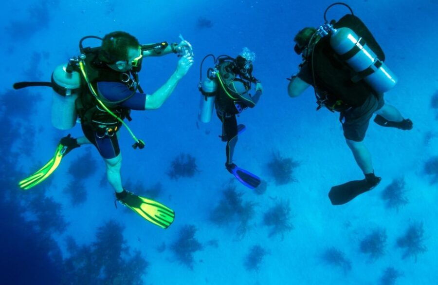 From Bodrum: Scuba Diving in the Aegean Sea - Good To Know