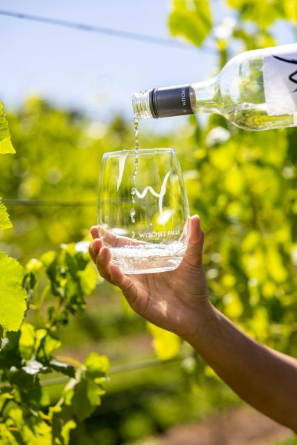 From Brisbane: Luxury Winery Tour and Gourmet Lunch - Good To Know