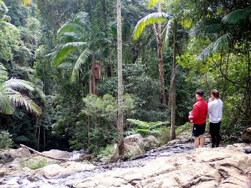 From Brisbane: Maiala Rainforest Private Tour - Good To Know
