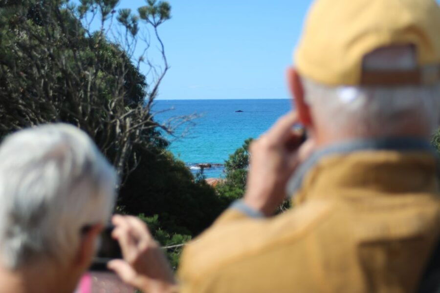 From Busselton: Half-Day Coastal and Wildlife Eco Tour - Good To Know