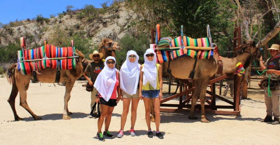 From Cabo: El Tule Canyon Camel Adventure
