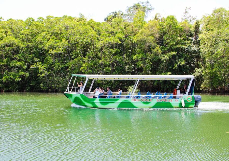 From Cairns: Daintree Wilderness & Cape Tribulation Bus Tour