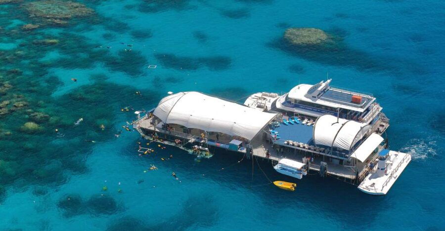 From Cairns: Great Barrier Reef Cruise and Activity Platform - Good To Know