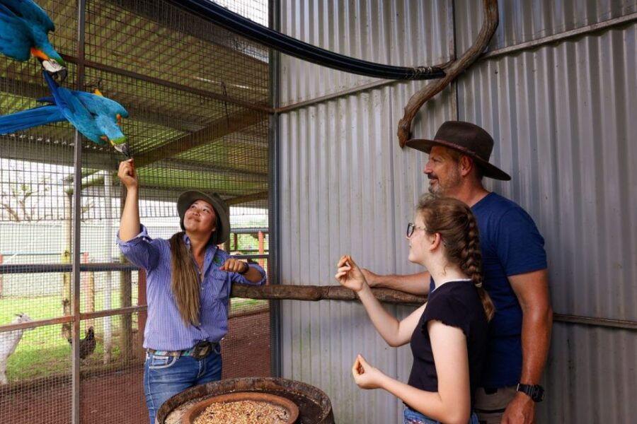 From Cairns: Kuranda Day Trip With Petting Zoo and ATV Ride - Good To Know