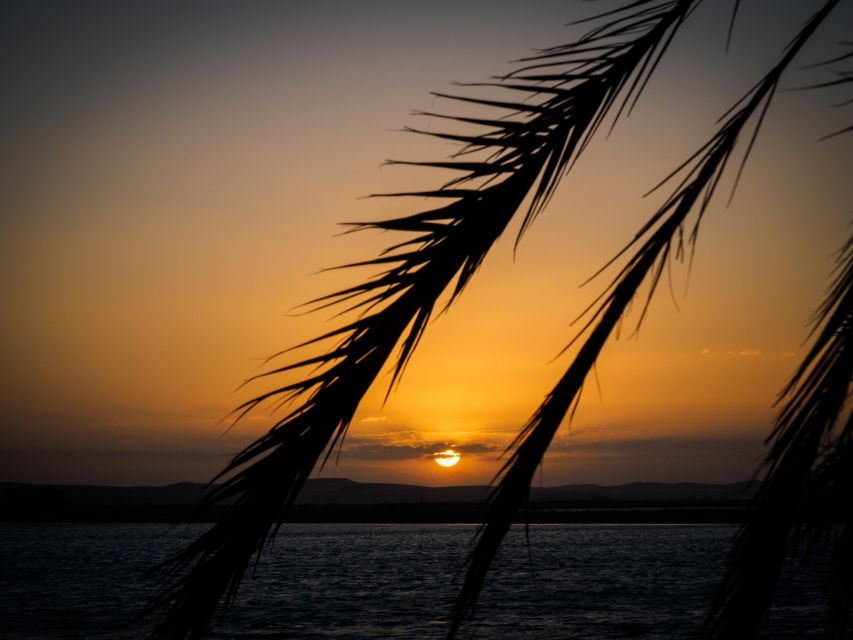 From Cairo: 3- Days El-Alamin, Siwa Oasis & Desert Safari - Good To Know