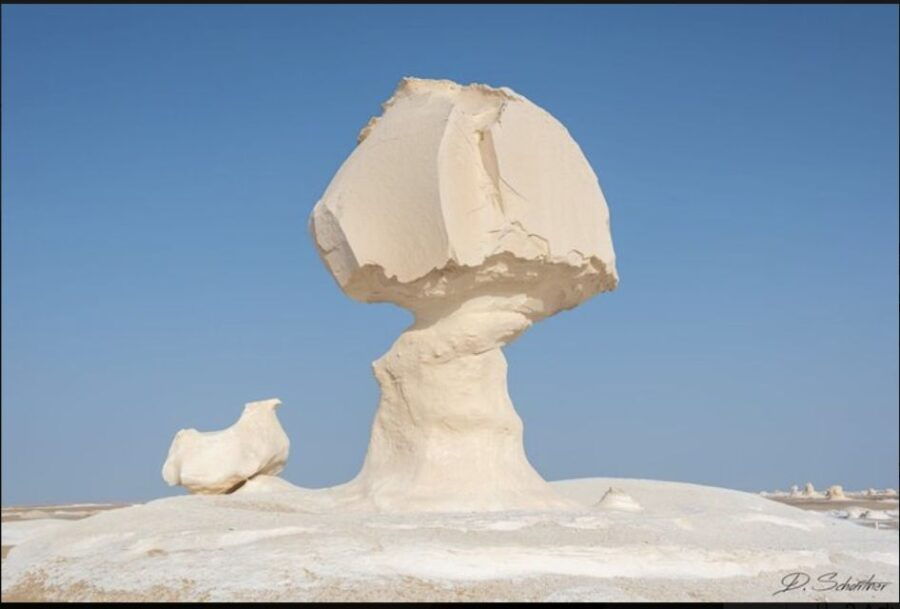 From Cairo: Bahariya Oasis and Black and White Desert Tour - Good To Know