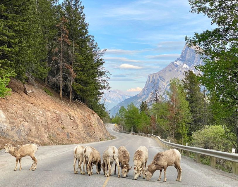 From Calgary: Banff National Park Premium Day Tour
