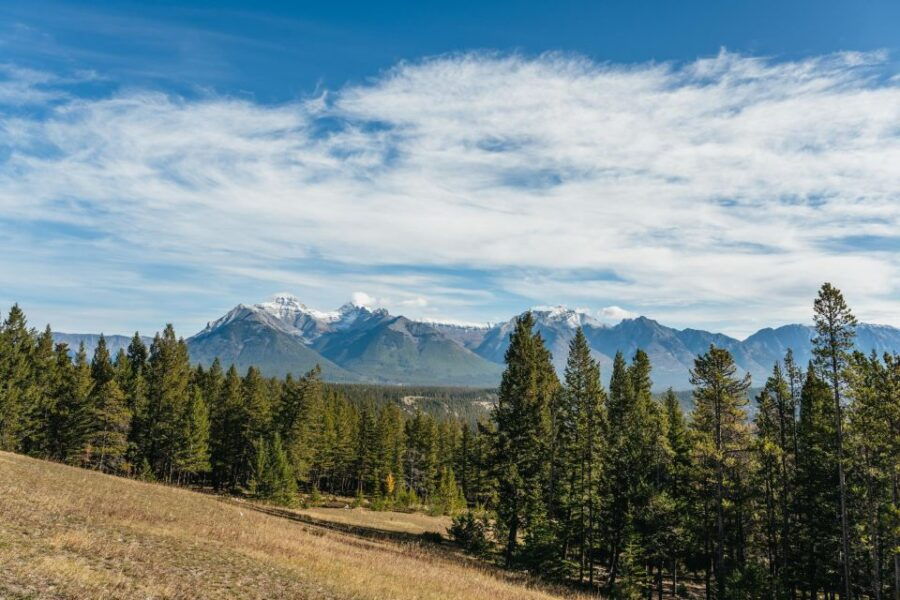 From Calgary: Private Banff National Park Day Trip