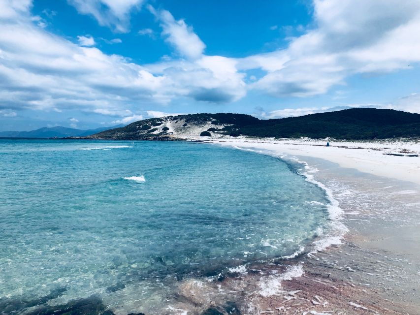 From Calvi: 4×4 Day Tour Mountain & Agriates’ Saleccia Beach