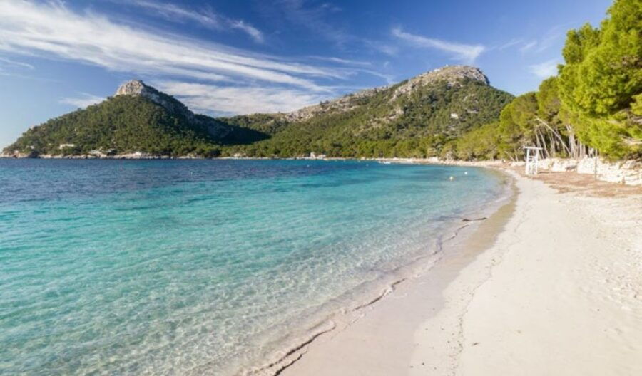 From Can Picafort: FORMENTOR BEACH - Good To Know
