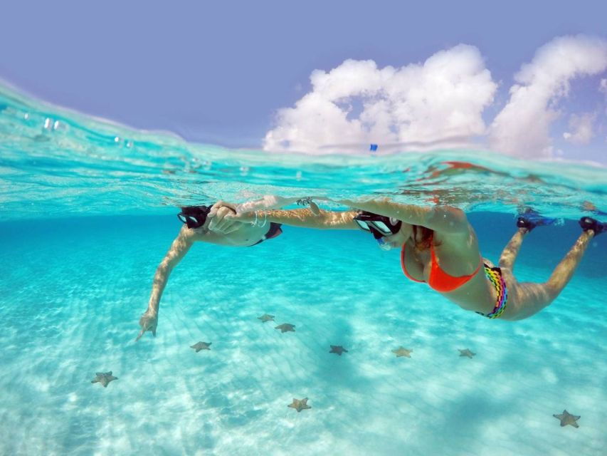 From Cancun and Riviera Maya: Cozumel Snorkeling Tour - Good To Know