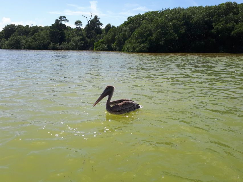 From Cancún: Day Trip to Las Coloradas Pink Lakes - Good To Know