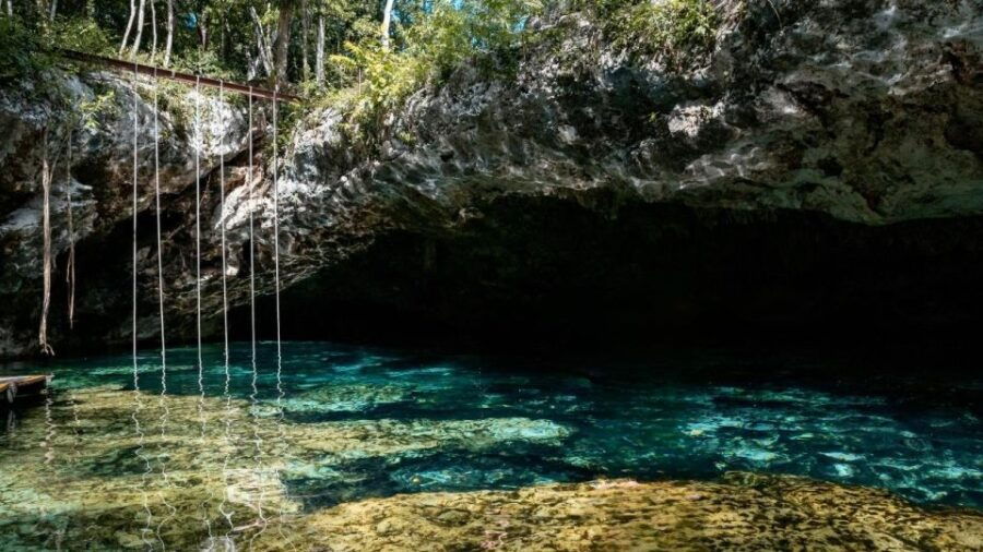 From Cancun: Day Trip to Tulum, Cenote & Playa Del Carmen - Good To Know