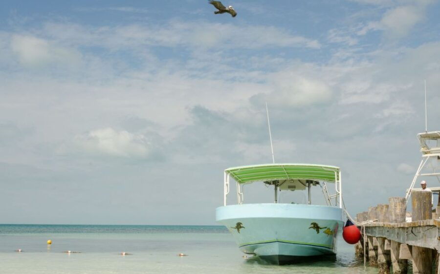From Cancún: Isla Contoy Private Guided Day Trip With Lunch - Good To Know