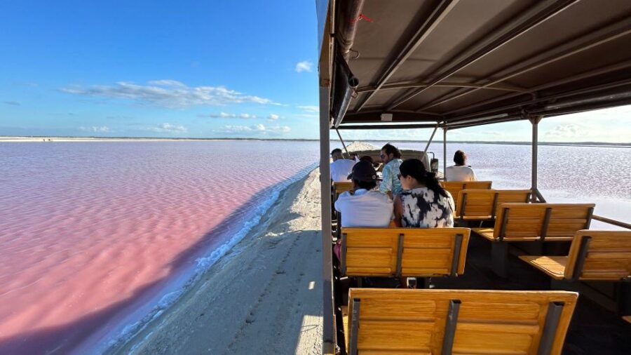 From Cancun: Las Coloradas - Safari & Salt Mining Day Trip - Good To Know