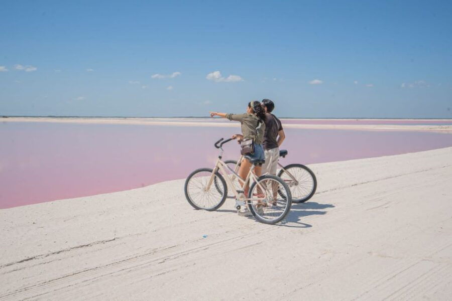From Cancun/Tulum/Riviera: Las Coloradas & Rio Lagartos Tour - Good To Know