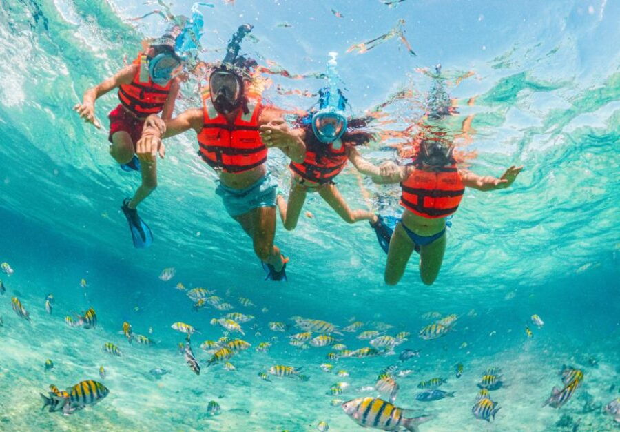 From Cancun: Xcaret Park With Night Show and Transportation - Good To Know