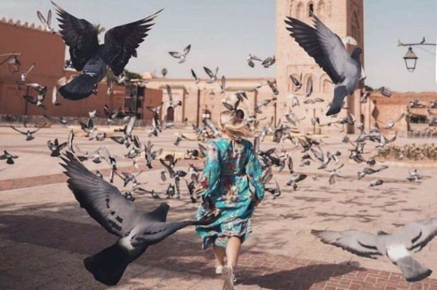 From Casablanca: Marrakech City Tour With Lunch & Camel Ride - Good To Know