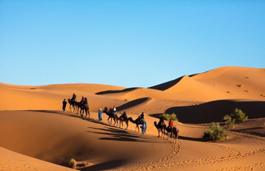 From Casablanca:9Days Unforgettable Desert Tour To Marrakesh - Good To Know