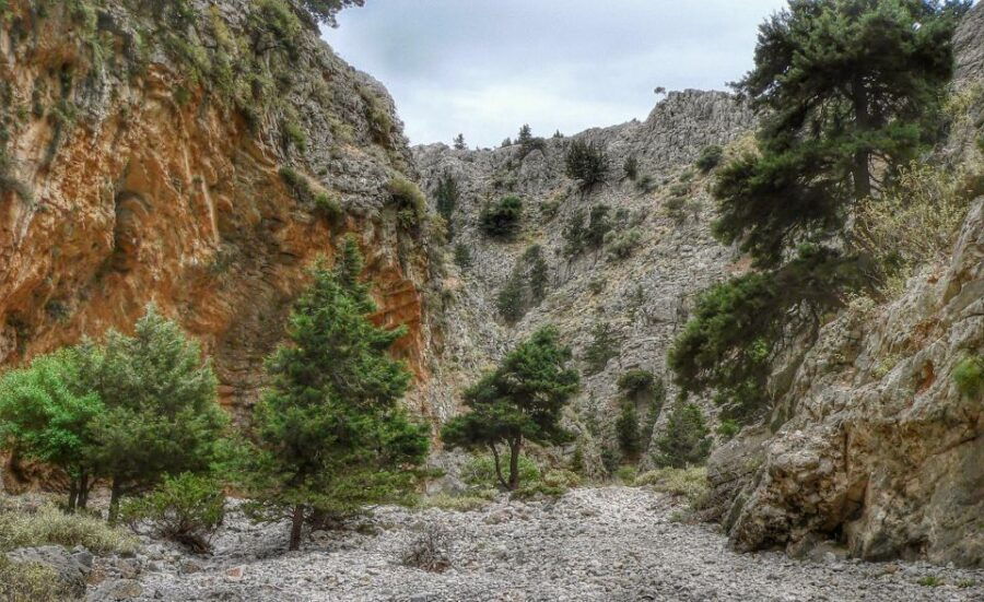 From Chania : Imbros Gorge