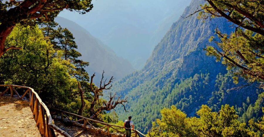 From Chania/Rethymno: Samaria Gorge Easy Way