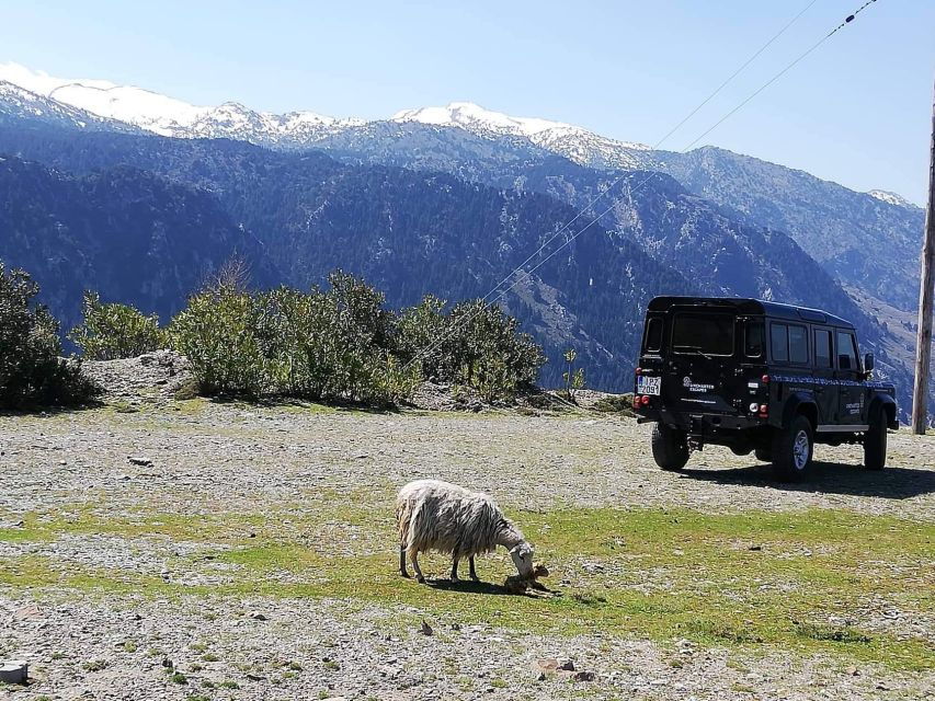 From Chania: White Mountains Land Rover Safari