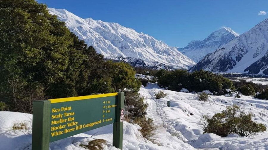 From Christchurch: 1-Way Mount Cook & Lake Tekapo Tour - Good To Know