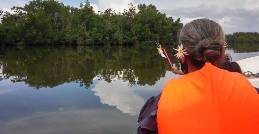 From Colombo Port: Sout Coast, Galle Fort, Guided Tour - Inclusions and Highlights