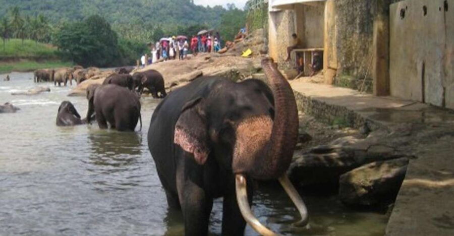 From Colombo: Private 2-Day Sri Lanka Highlights Trip - Good To Know