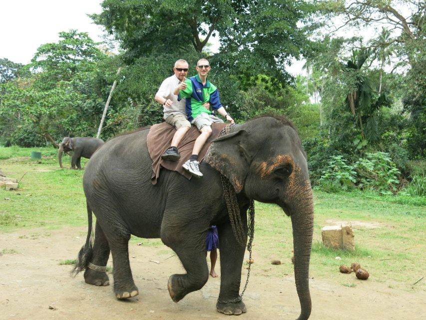 From Colombo: Sigiriya and Dambulla Day Trip With Safari - Good To Know