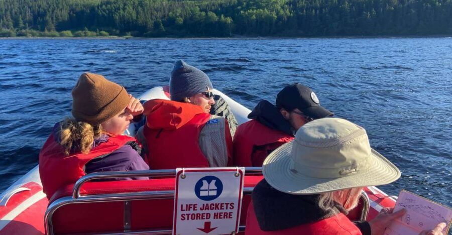 From Corner Brook : Bay Of Islands Island Zodiac Boat Tour - Good To Know