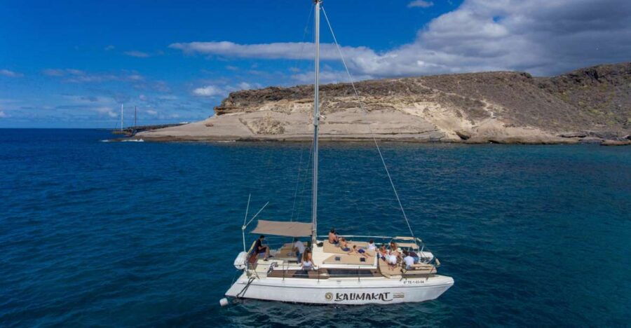 From Costa Adeje: Private Catamaran Tour With Snorkeling - Good To Know