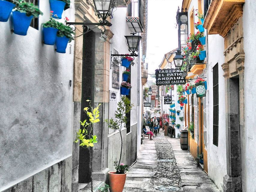 From Costa Del Sol: Day Trip to Cordoba Free Time - Good To Know