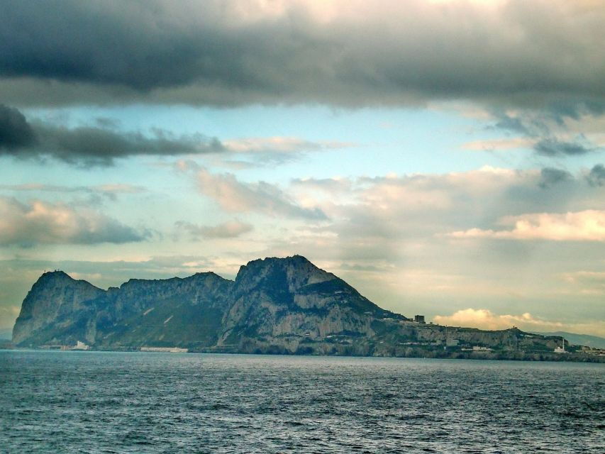 From Costa Del Sol: Gibraltar Dolphin Watching by Boat - Good To Know