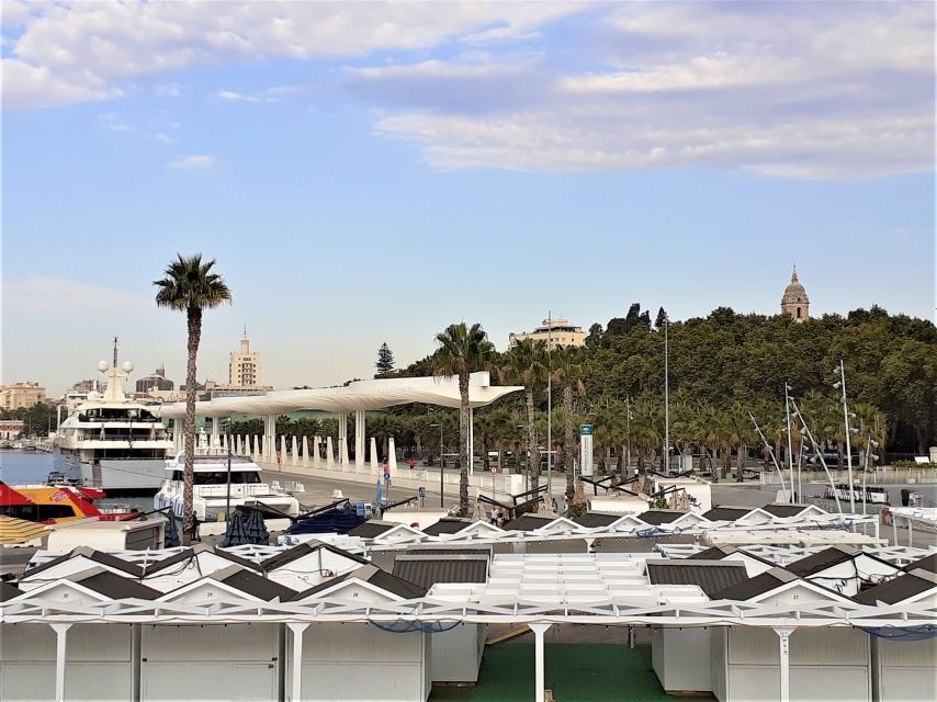 From Costa Del Sol: Malaga Half-Day Private Tour - Good To Know