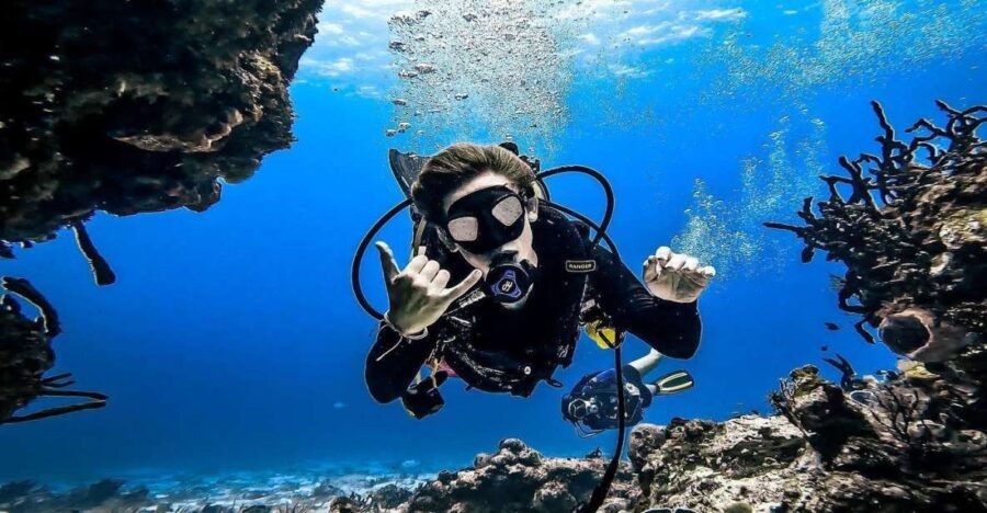 From Cozumel: Double Tank Scuba Diving for Certified Divers - Good To Know
