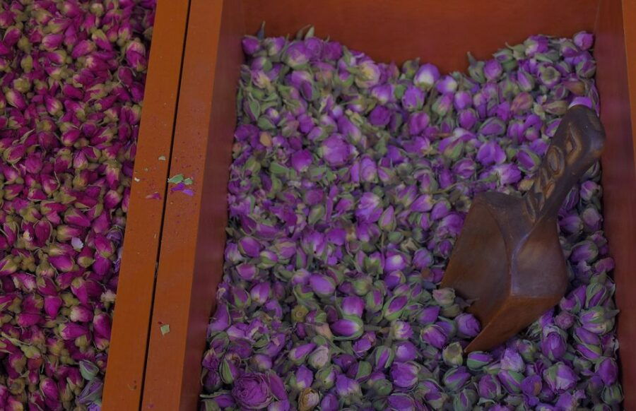 From Cruise Ship Port: Greek Food Tour Free Time in Athens - Tour Activity Details